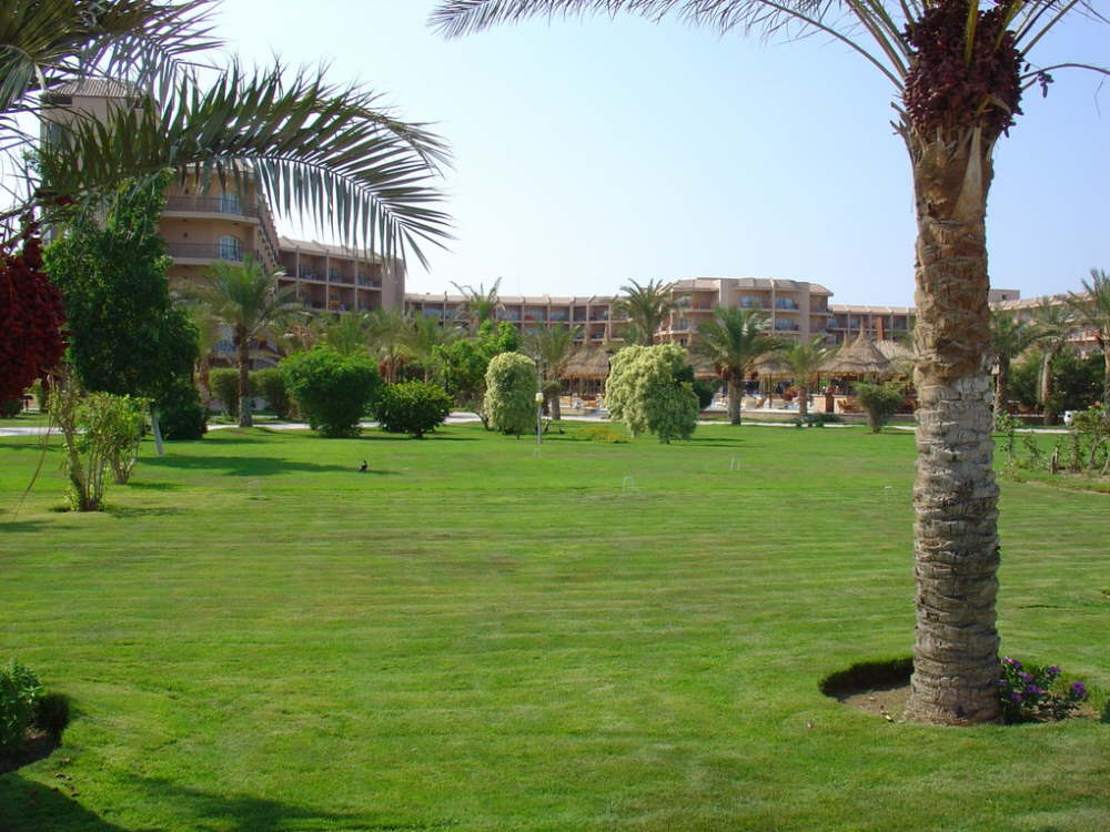 DSC01084