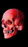skull007